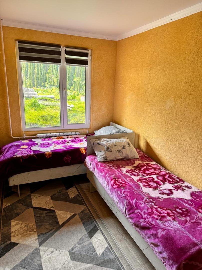 Ala-Kul Guesthouse In Altyn-Arashan Karakol Exterior photo